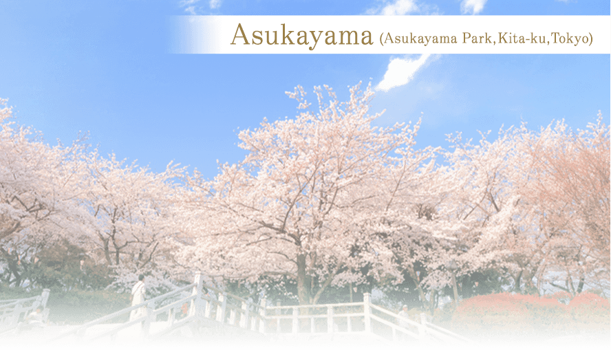  Asukayama (Asukayama Park, Kita-ku, Tokyo)