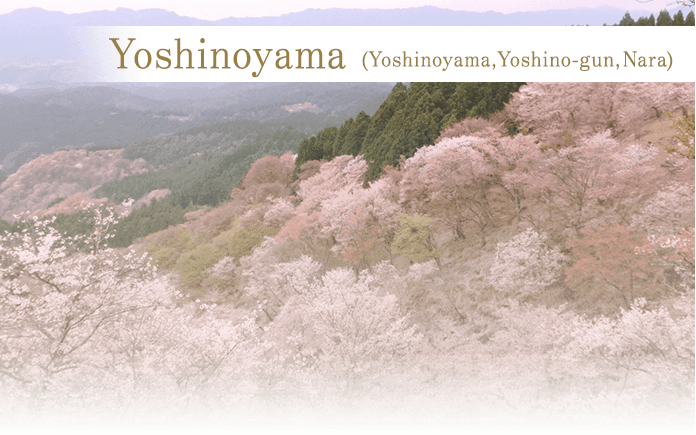 Yoshinoyama (Yoshinoyama, Yoshino-gun, Nara)