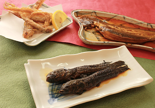 Photo:The seafood dishes of the Ariake Sea
