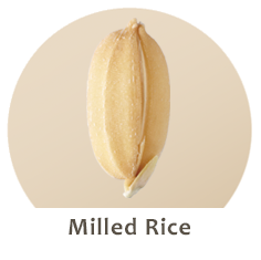 Milled Rice