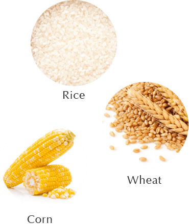 Rice Corn Wheat