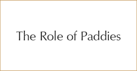 The Role of Paddies