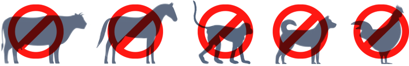 Prohibition of Meat Eating Animals：Cow, Horse, Monkey, Dog, Chicken
