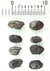 画像：生石2遺跡出土の炭化米
