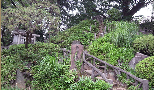 写真：鳩森八幡神社の冨士塚