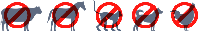 肉食が禁止されていた動物：牛、馬、猿、犬、鶏