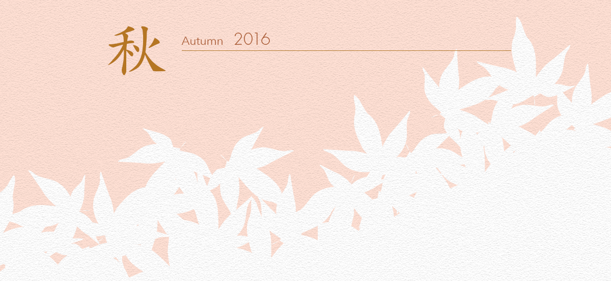 2016 autumn
